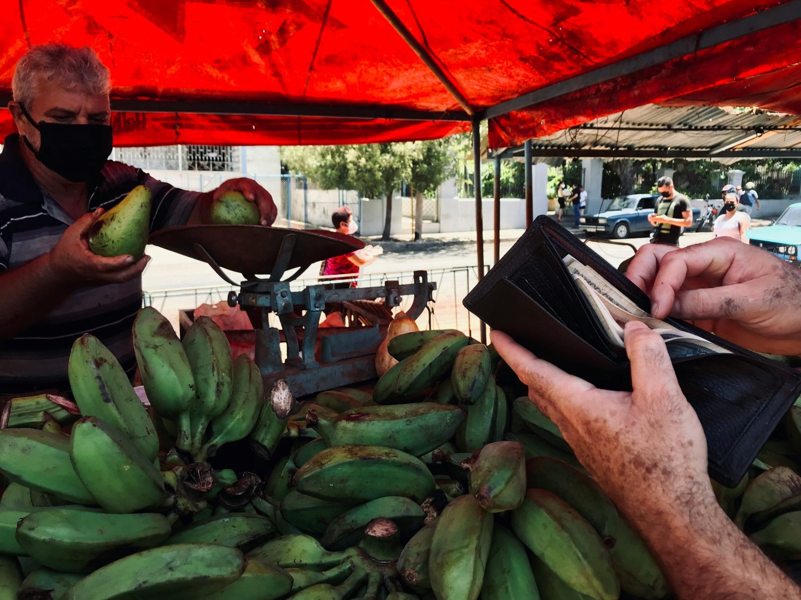 green banana fruits on black tray